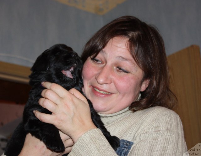 Фото: ньюфаундленд Soul of Rouz Assia (Соул оф Роуз Ассиа), Liliana Rahmatova (Лилиана Рахматова)