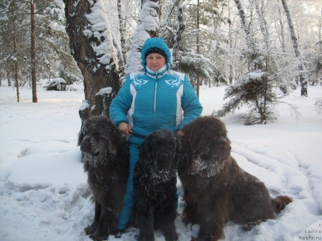 Фото: Tat'yana SHayduk (Татьяна Шайдук), ньюфаундленд CHernyiy SHarm Amber Best Dog FO Marleon (Черный Шарм Амбер Бест Дог ФО Марлеон), ньюфаундленд Akvamarinovaya Krasotka dlya Marleon (Аквамариновая Красотка для Марлеон), ньюфаундленд Knyajna v CHernom ot Marleon Dusvik (Княжна в Черном от Марлеон Дусвик)