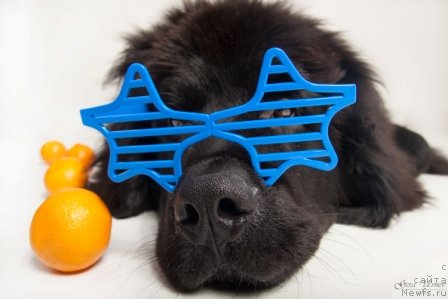 Фотография № 114109