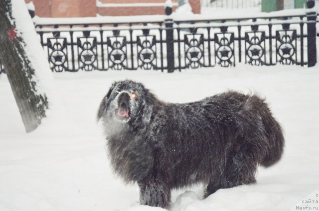 Фото: Lady Kranz Portos