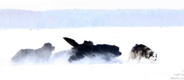 Фотография № 114165