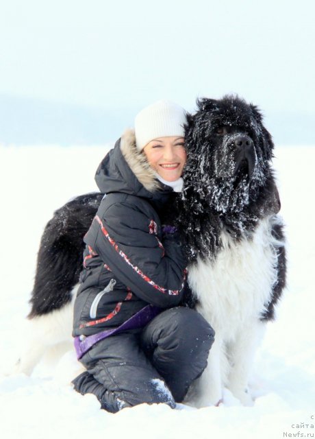 Фотография № 114170