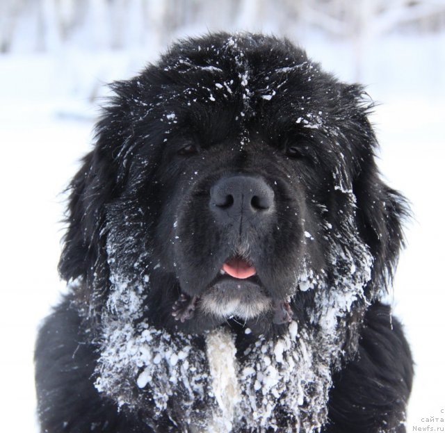 Фотография № 114171