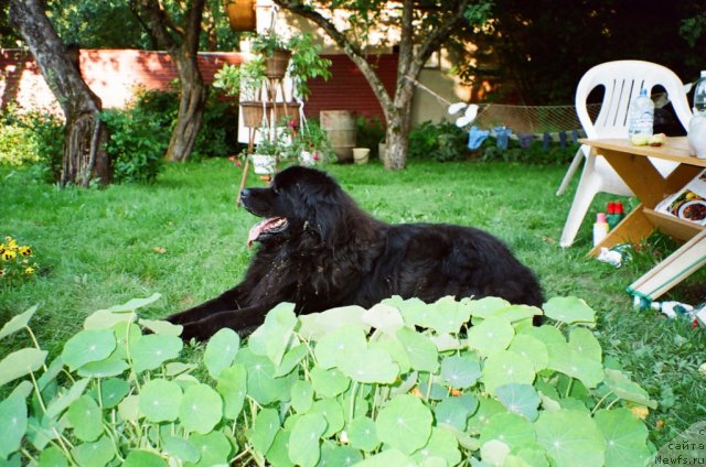 Фото: Lady Kranz Portos