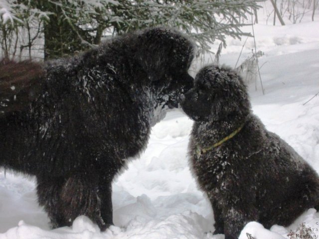 Фотография № 114204