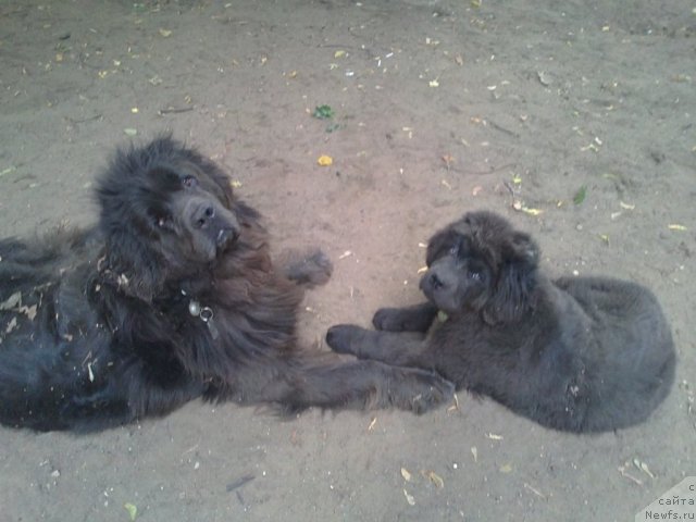 Фотография № 114228