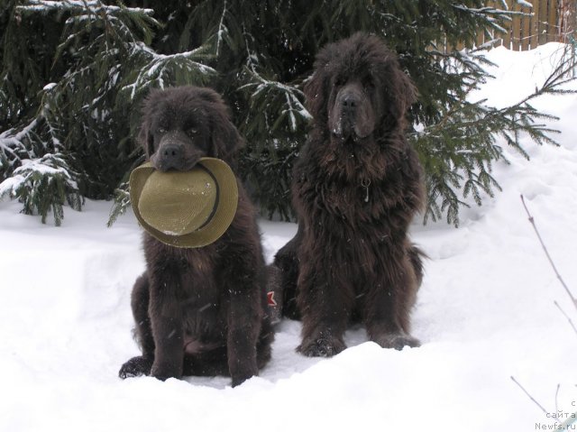 Фотография № 114249