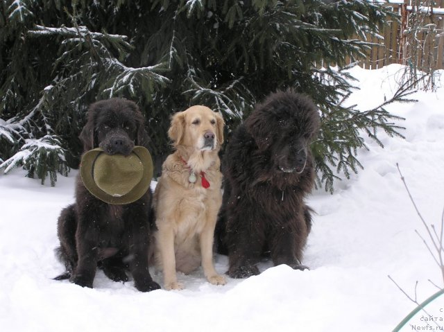 Фотография № 114251