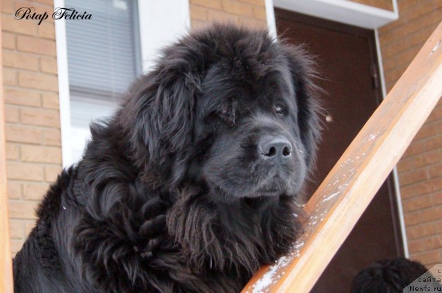 Фотография № 114289