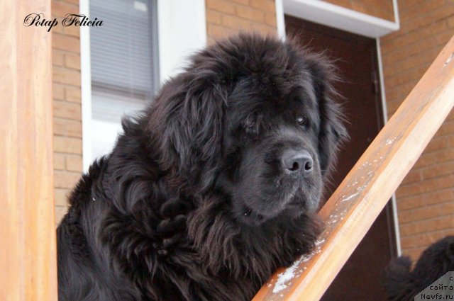 Фотография № 114301