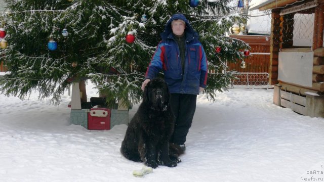 Фотография № 114328