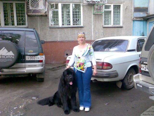 Фото: Ol'ga Larina (Ольга Ларина), ньюфаундленд Moroz-Voevoda ot Sibirskogo Medvedya (Мороз-Воевода от Сибирского Медведя)