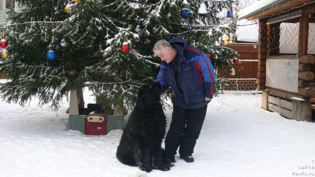 Фотография № 114338