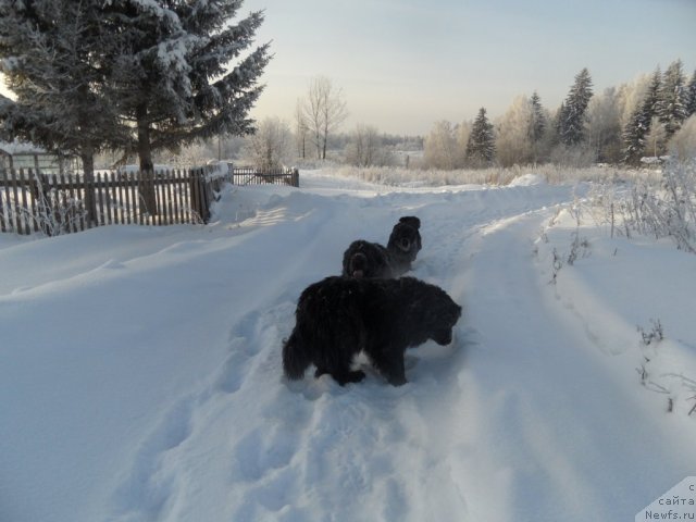 Фотография № 114344