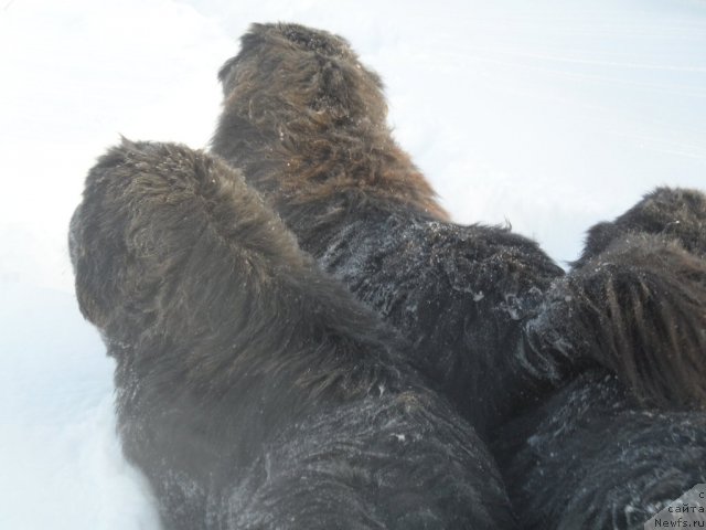 Фотография № 114348