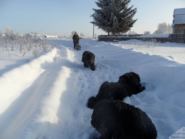 Фотография № 114350