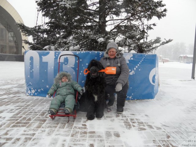 Фотография № 114353