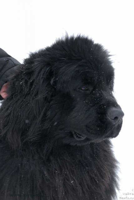 Фотография № 114416