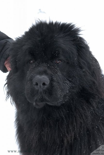 Фотография № 114417