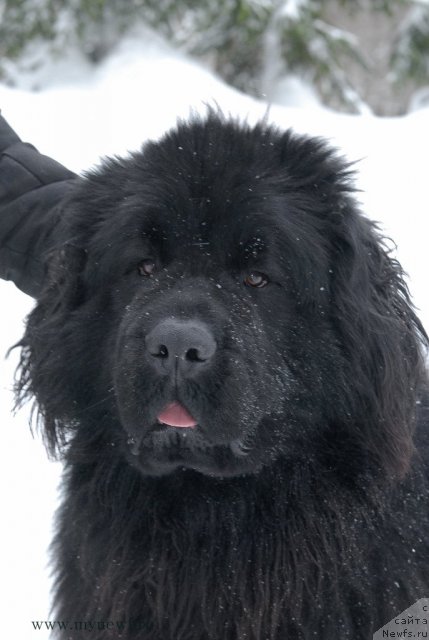 Фотография № 114418