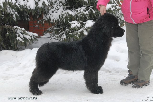 Фотография № 114428