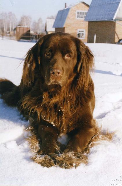 Фотография № 11443