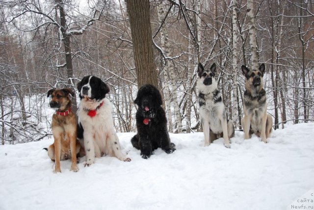 Фотография № 114443