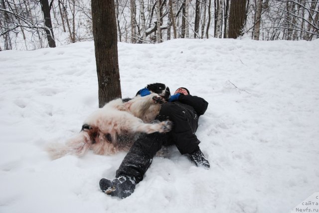 Фотография № 114446