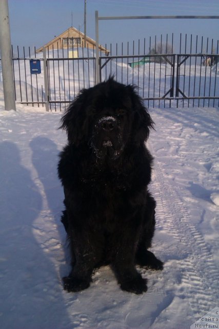 Фото: Andrey Samoylenko (Андрей Самойленко)