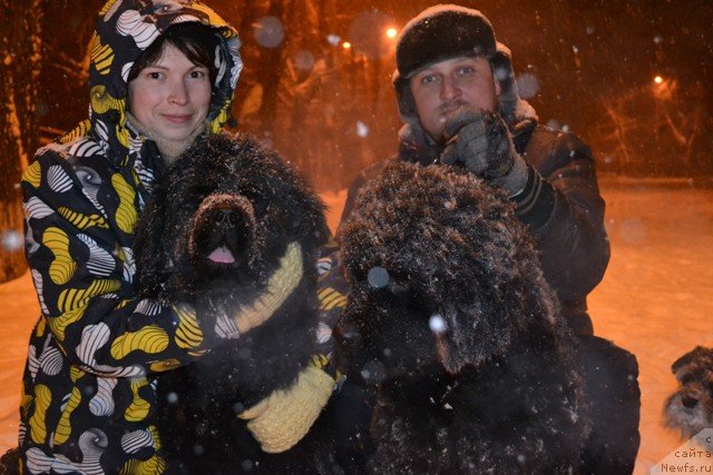 Фотография № 114512