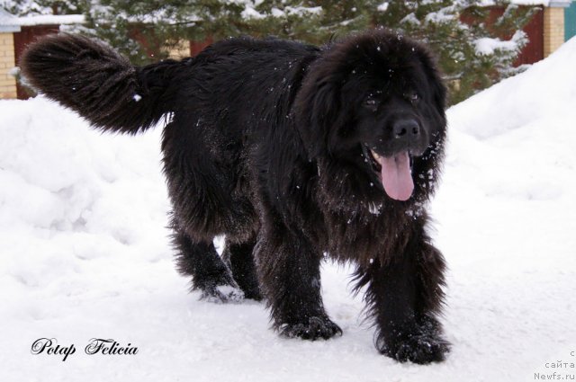 Фотография № 114530