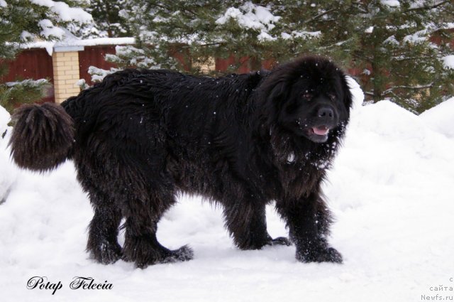 Фотография № 114534