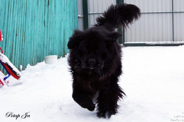 Фотография № 114536