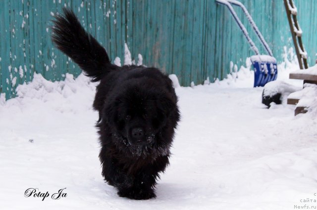 Фотография № 114539