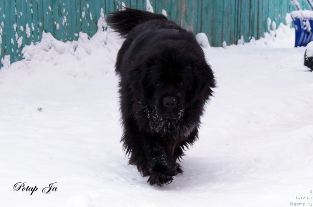 Фотография № 114540