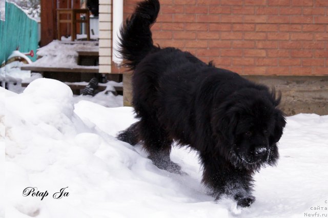 Фотография № 114543