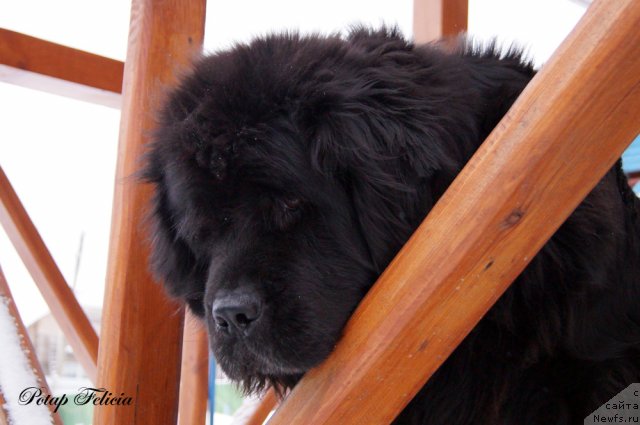 Фотография № 114549