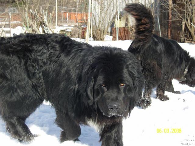 Фото: Vladimir Dmitriev (Владимир Дмитриев)