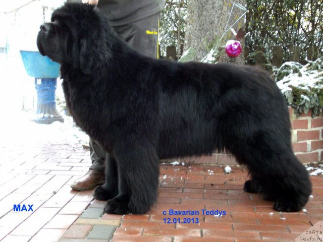 Фотография № 114566