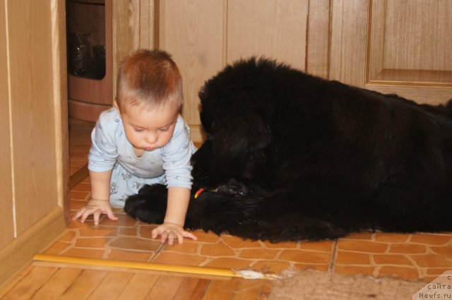 Фотография № 114675