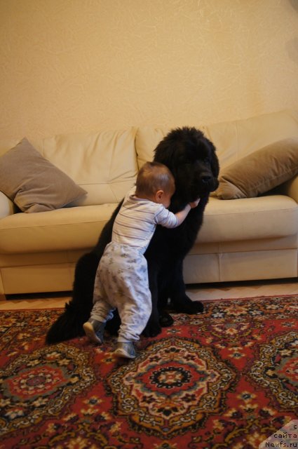 Фотография № 114680