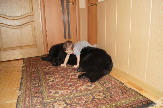 Фотография № 114684