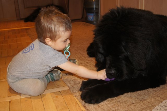 Фотография № 114687