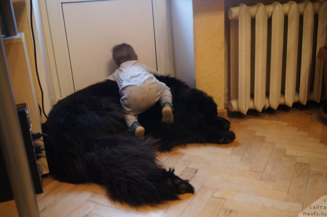 Фотография № 114690