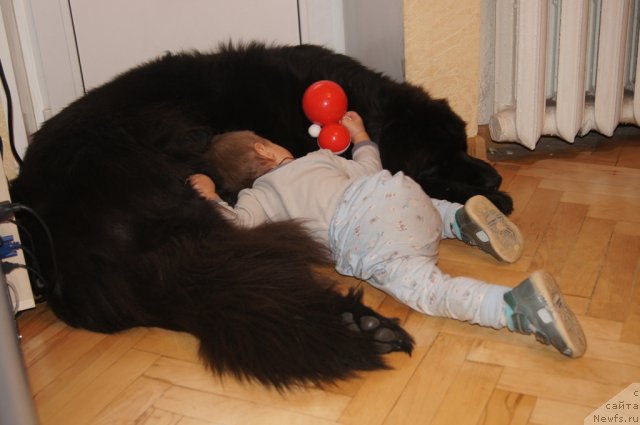 Фотография № 114691