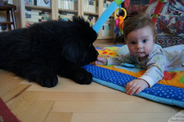 Фотография № 114692