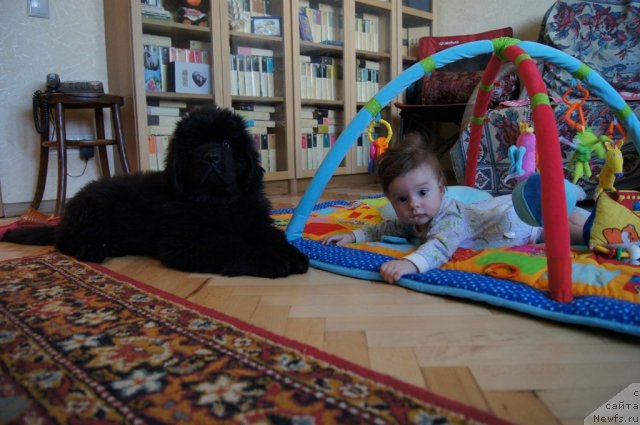 Фотография № 114693