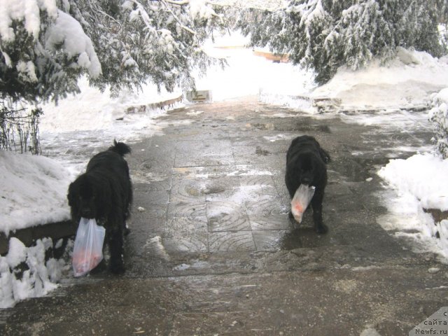 Фотография № 114709