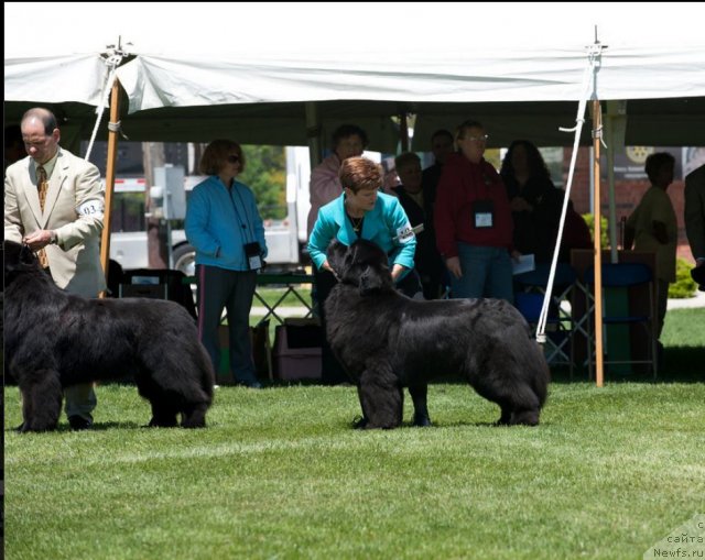 Фотография № 114729