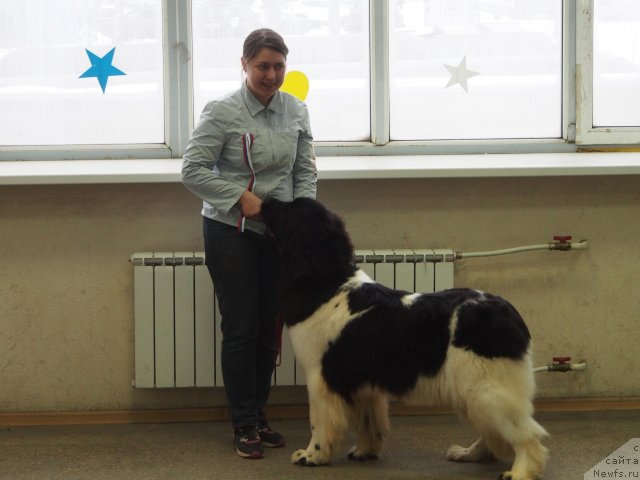 Фотография № 114758